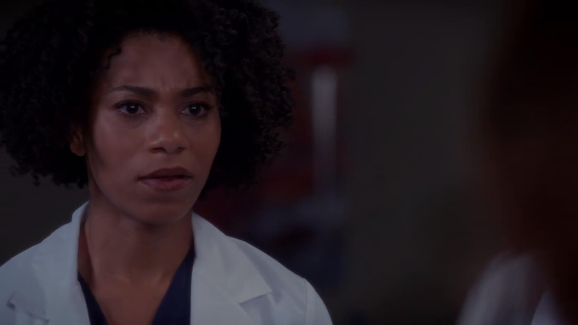 Greys Anatomy S11E02 Puzzle With a Piece Missing 1080p HEVC x265 MeGusta TGx