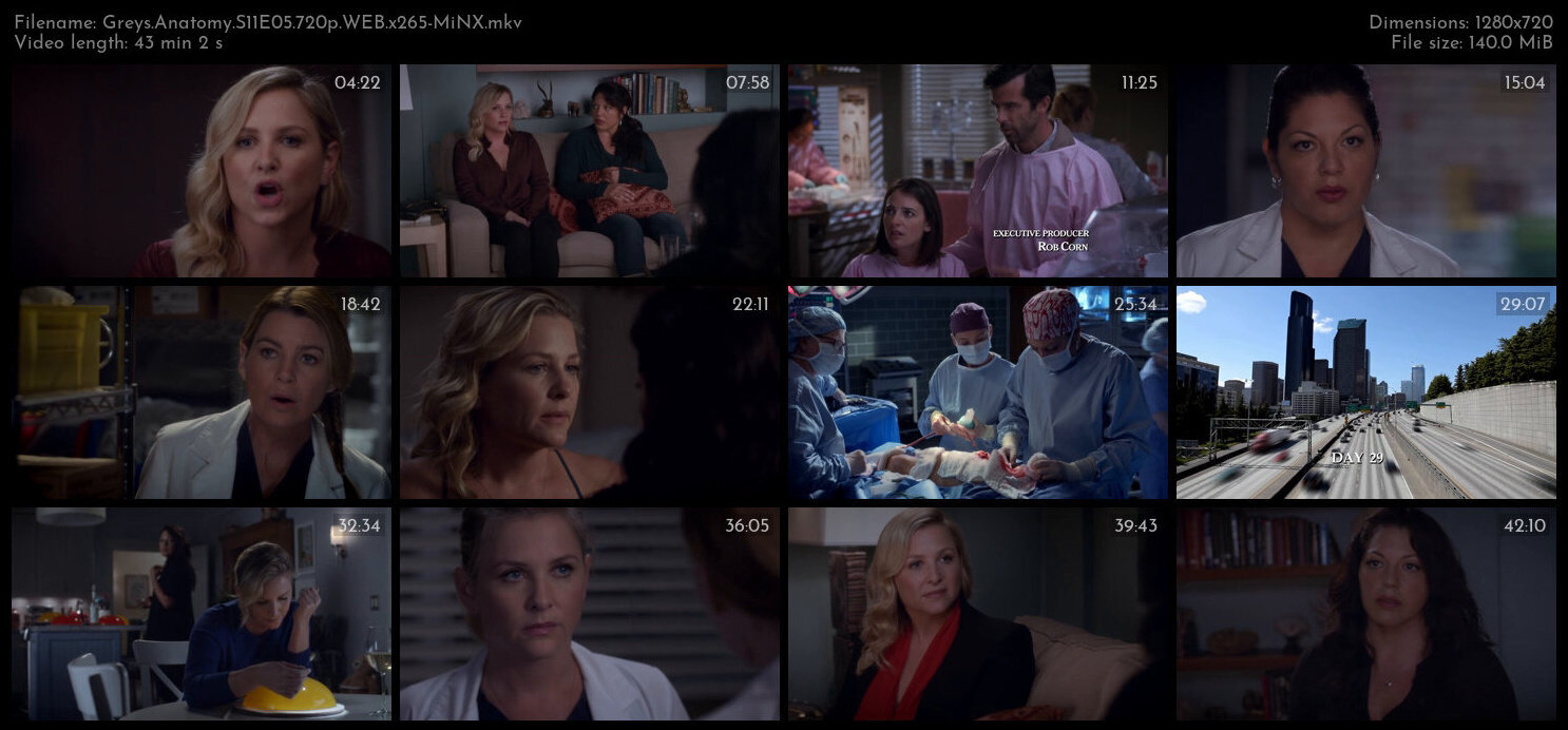 Greys Anatomy S11E05 720p WEB x265 MiNX TGx