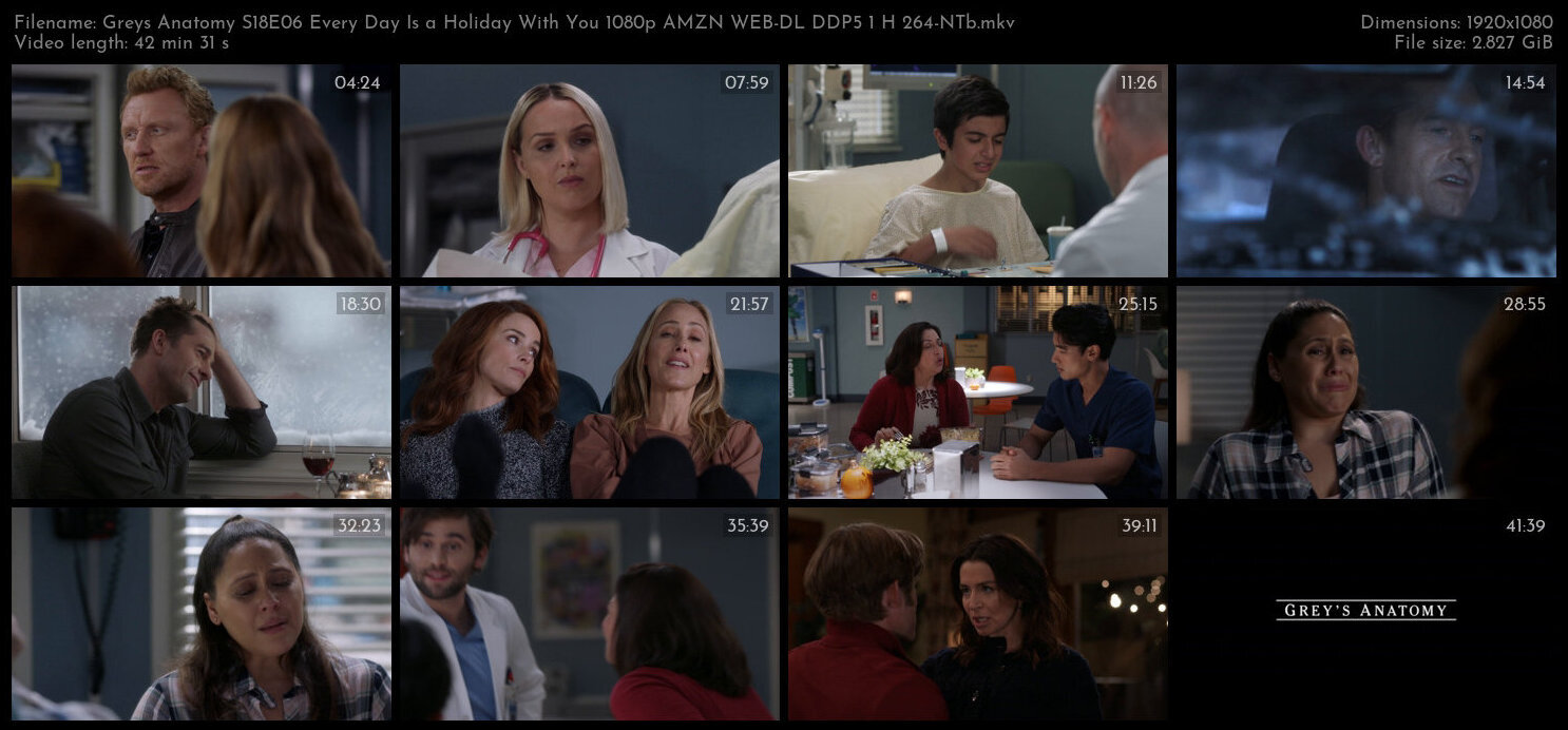 Greys Anatomy S18E06 Every Day Is a Holiday With You 1080p AMZN WEB DL DDP5 1 H 264 NTb TGx