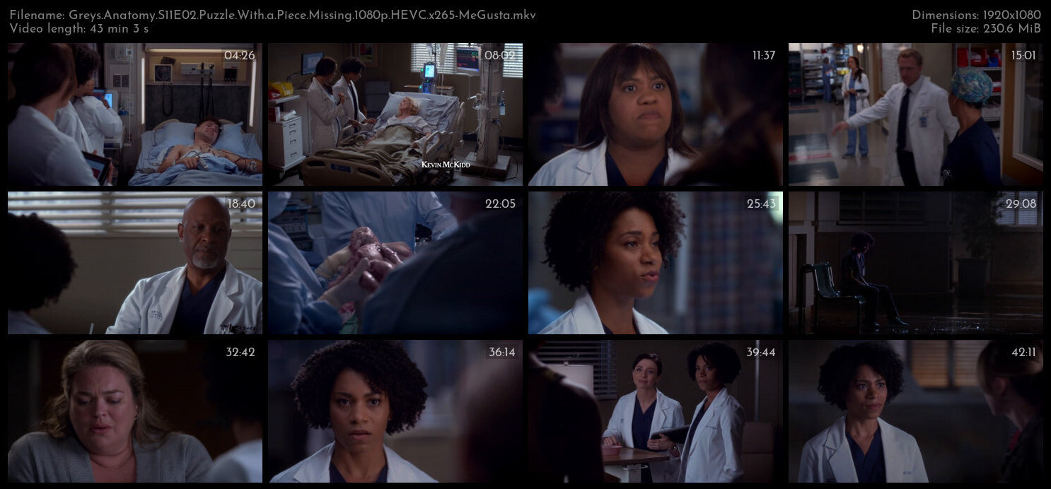 Greys Anatomy S11E02 Puzzle With a Piece Missing 1080p HEVC x265 MeGusta TGx