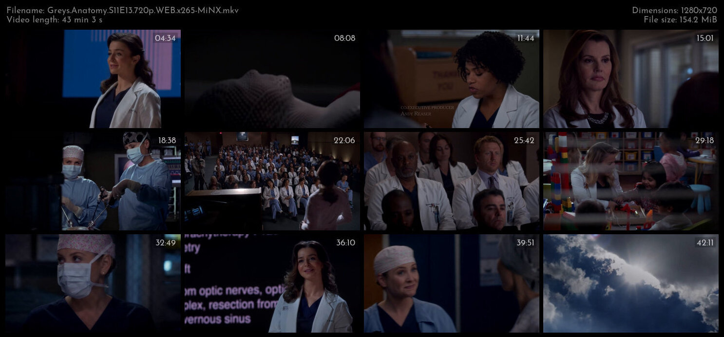 Greys Anatomy S11E13 720p WEB x265 MiNX TGx