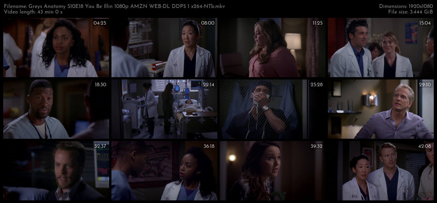 Greys Anatomy S10E18 You Be Illin 1080p AMZN WEB DL DDP5 1 x264 NTb TGx