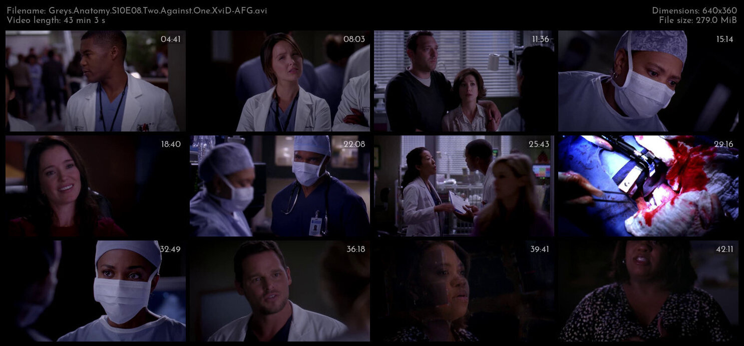 Greys Anatomy S10E08 Two Against One XviD AFG TGx