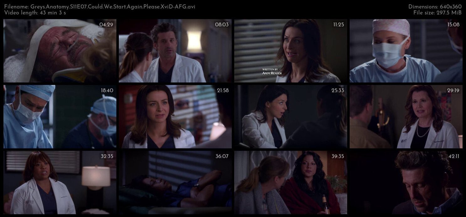 Greys Anatomy S11E07 Could We Start Again Please XviD AFG TGx