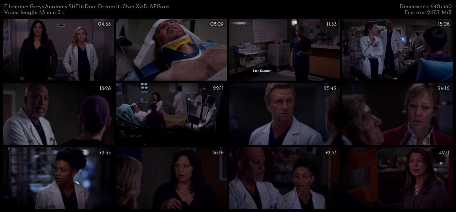 Greys Anatomy S11E16 Dont Dream Its Over XviD AFG TGx