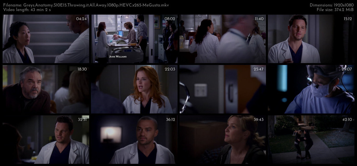 Greys Anatomy S10E15 Throwing it All Away 1080p HEVC x265 MeGusta TGx