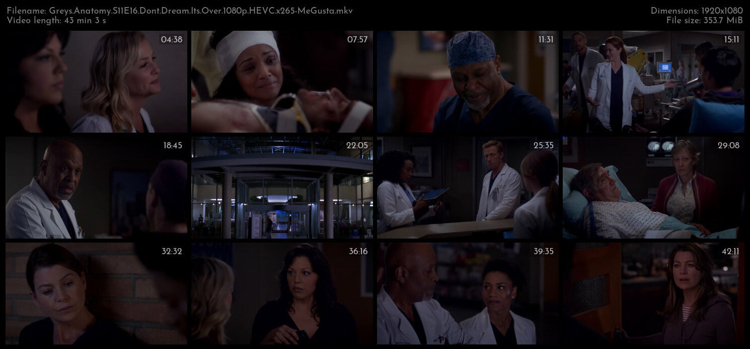 Greys Anatomy S11E16 Dont Dream Its Over 1080p HEVC x265 MeGusta TGx