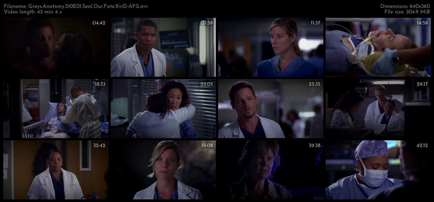 Greys Anatomy S10E01 Seal Our Fate XviD AFG TGx