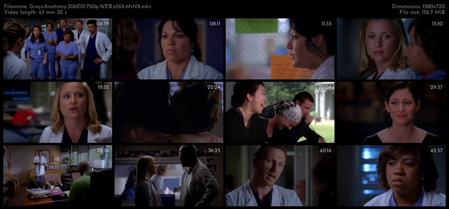 Greys Anatomy S06E01 720p WEB x265 MiNX TGx