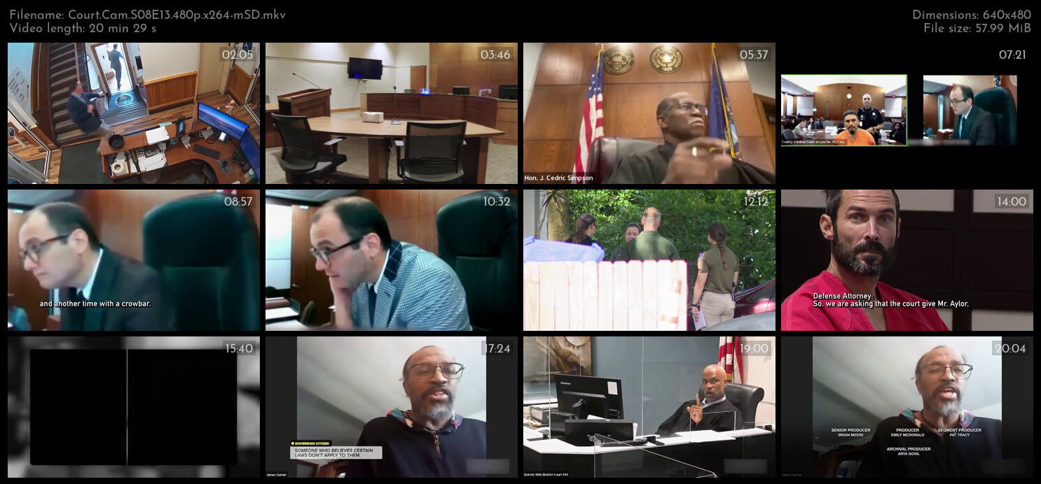 Court Cam S08E13 480p x264 mSD TGx