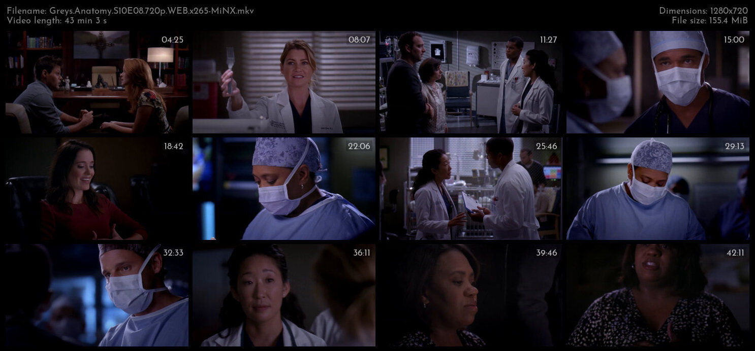 Greys Anatomy S10E08 720p WEB x265 MiNX TGx