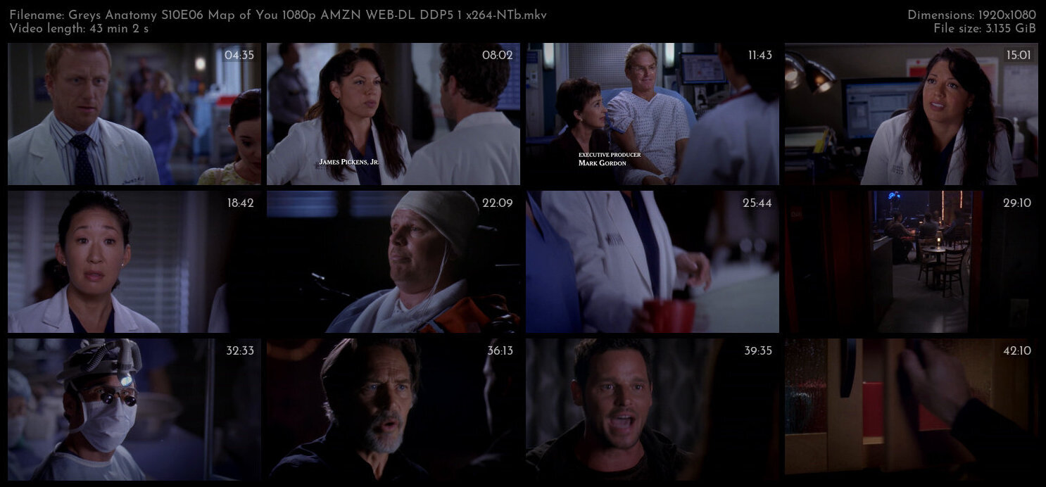 Greys Anatomy S10E06 Map of You 1080p AMZN WEB DL DDP5 1 x264 NTb TGx