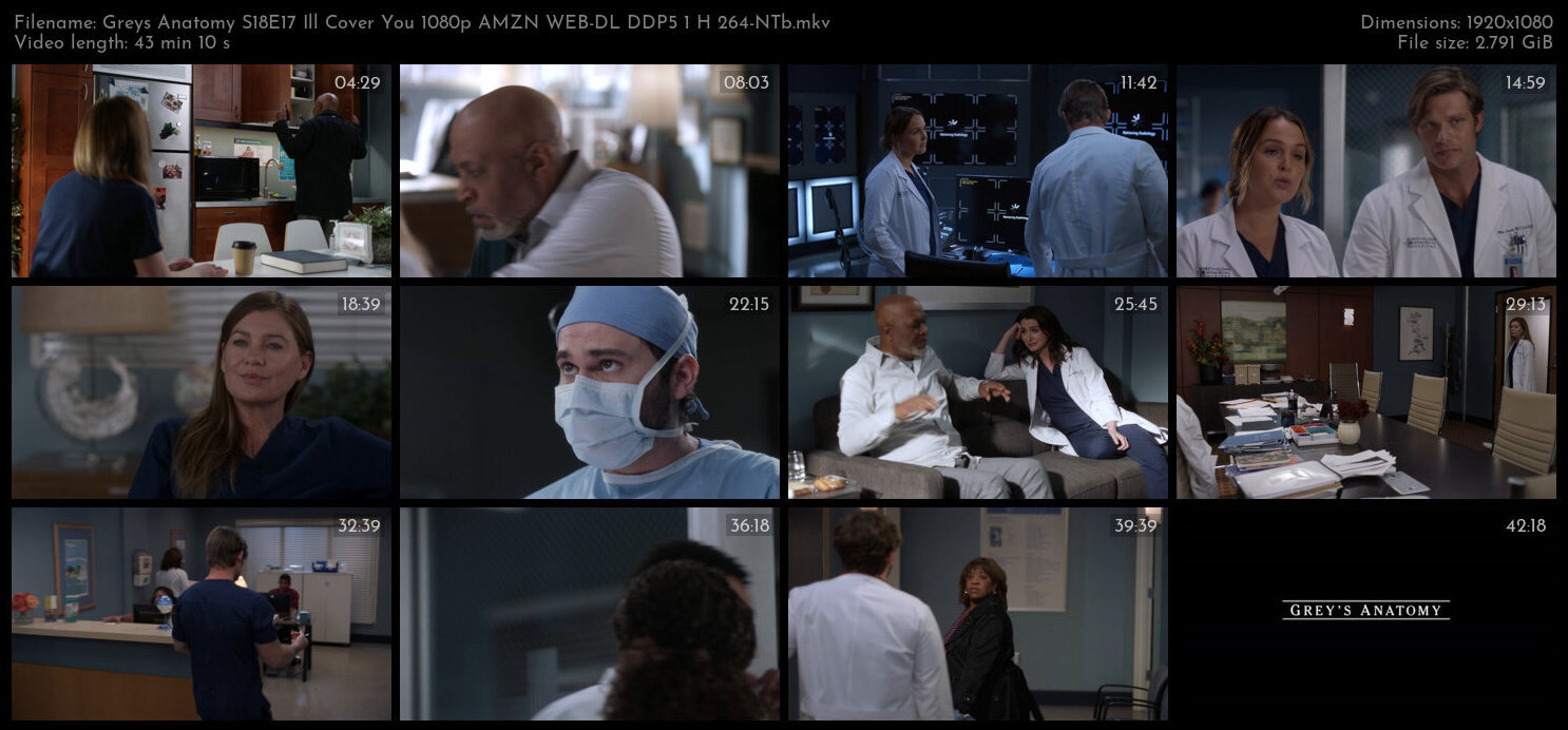 Greys Anatomy S18E17 Ill Cover You 1080p AMZN WEB DL DDP5 1 H 264 NTb TGx