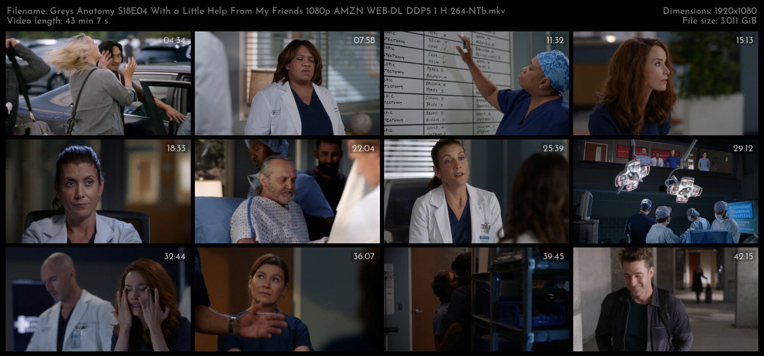 Greys Anatomy S18E04 With a Little Help From My Friends 1080p AMZN WEB DL DDP5 1 H 264 NTb TGx