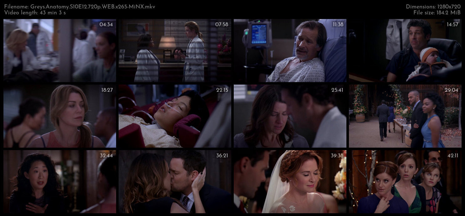 Greys Anatomy S10E12 720p WEB x265 MiNX TGx