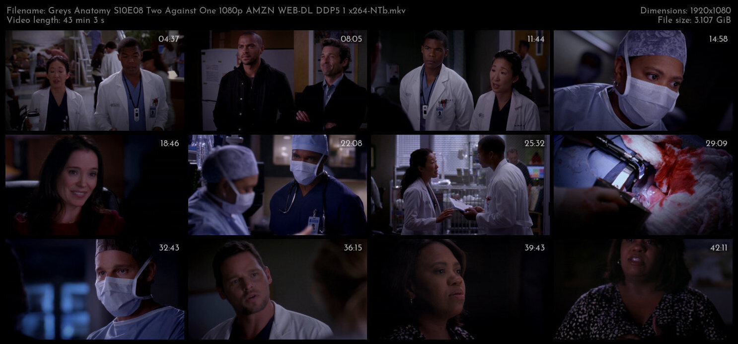 Greys Anatomy S10E08 Two Against One 1080p AMZN WEB DL DDP5 1 x264 NTb TGx