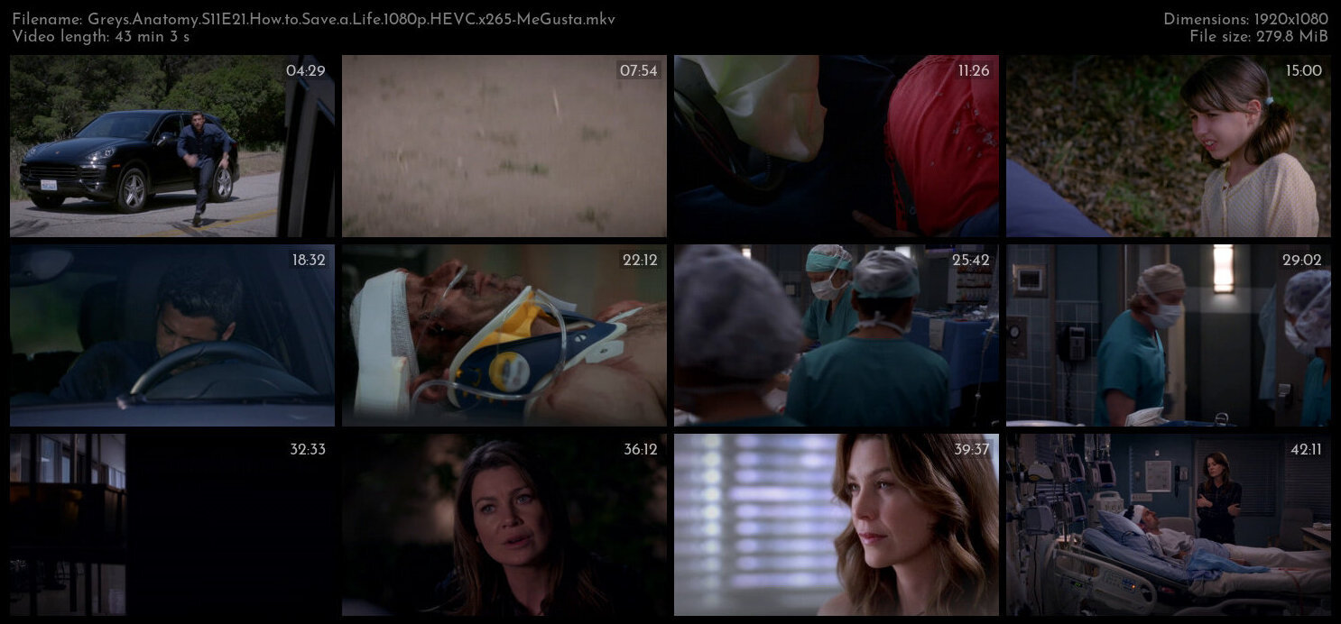 Greys Anatomy S11E21 How to Save a Life 1080p HEVC x265 MeGusta TGx