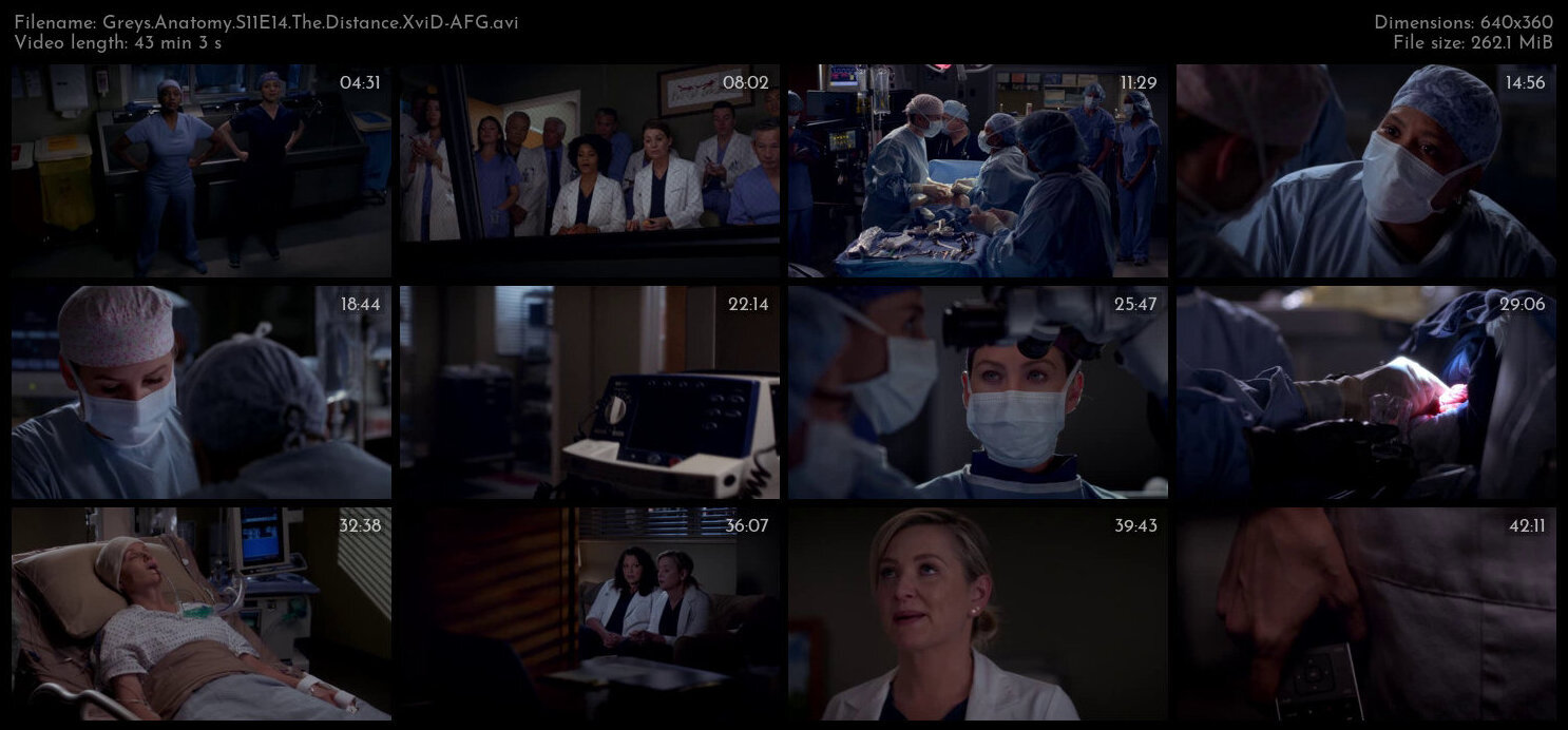 Greys Anatomy S11E14 The Distance XviD AFG TGx