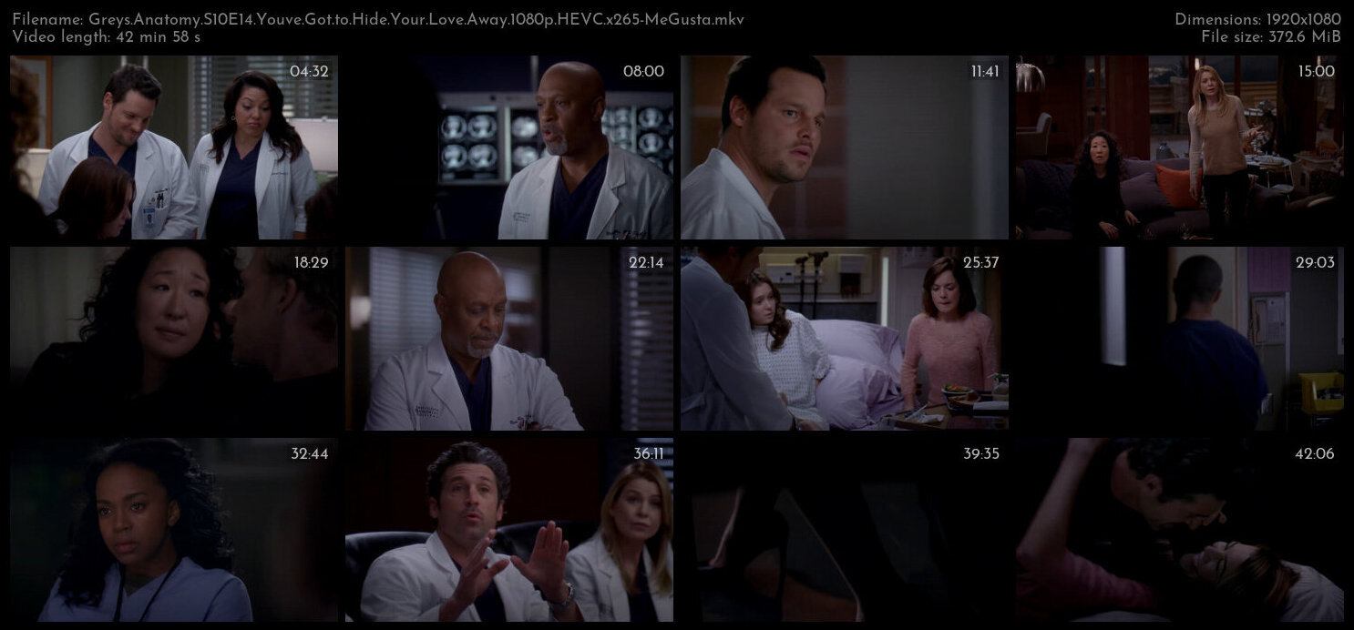 Greys Anatomy S10E14 Youve Got to Hide Your Love Away 1080p HEVC x265 MeGusta TGx