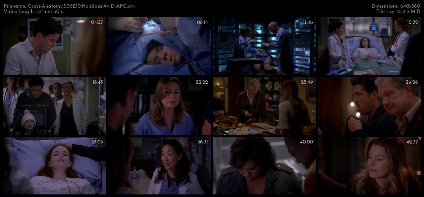 Greys Anatomy S06E10 Holidaze XviD AFG TGx