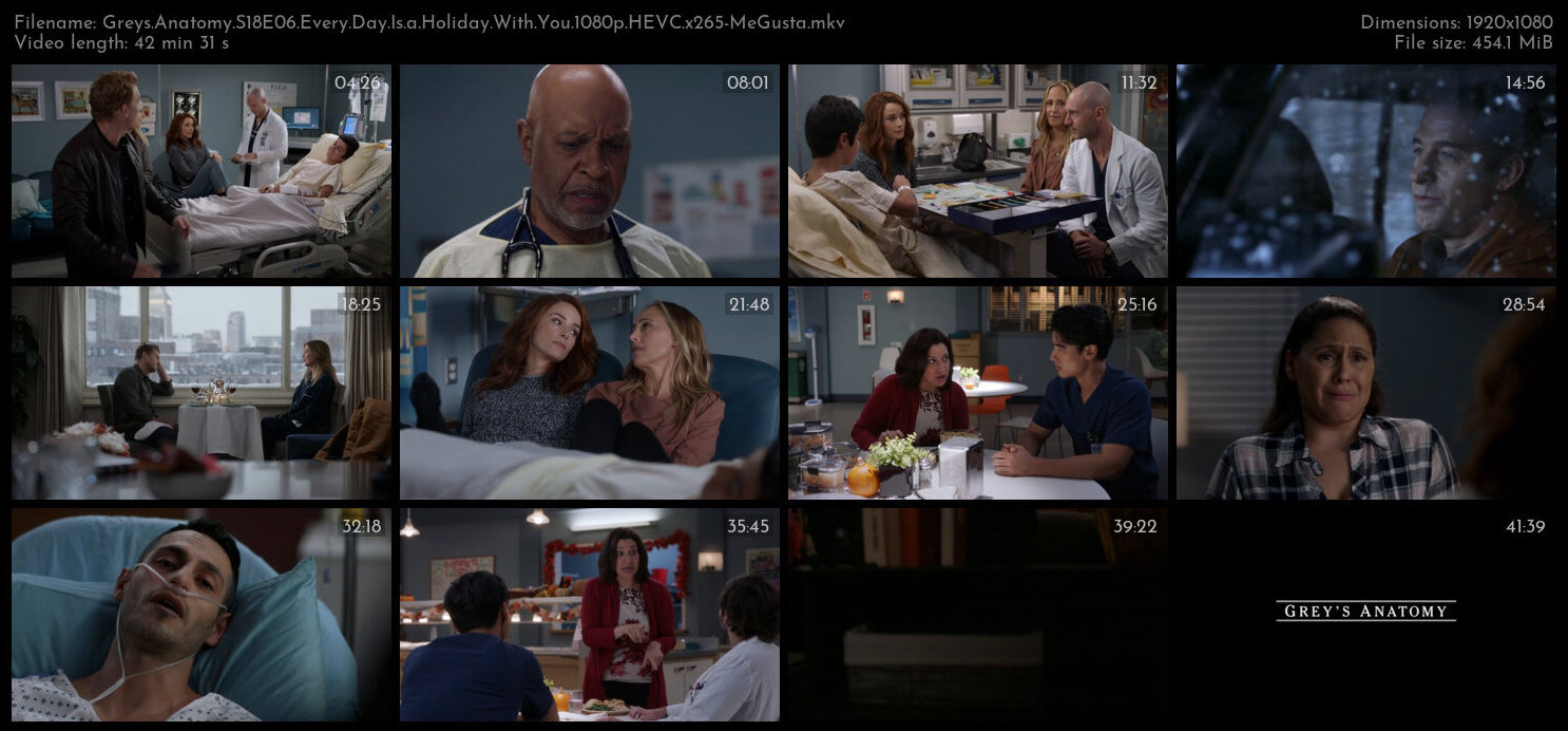 Greys Anatomy S18E06 Every Day Is a Holiday With You 1080p HEVC x265 MeGusta TGx