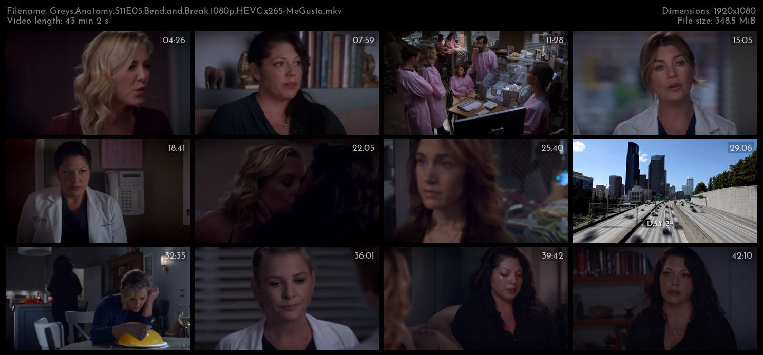 Greys Anatomy S11E05 Bend and Break 1080p HEVC x265 MeGusta TGx