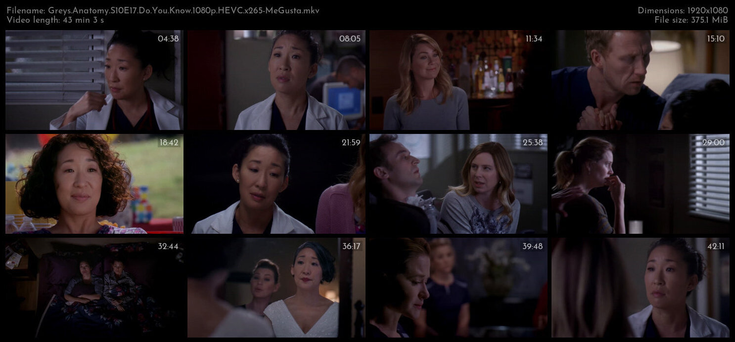 Greys Anatomy S10E17 Do You Know 1080p HEVC x265 MeGusta TGx