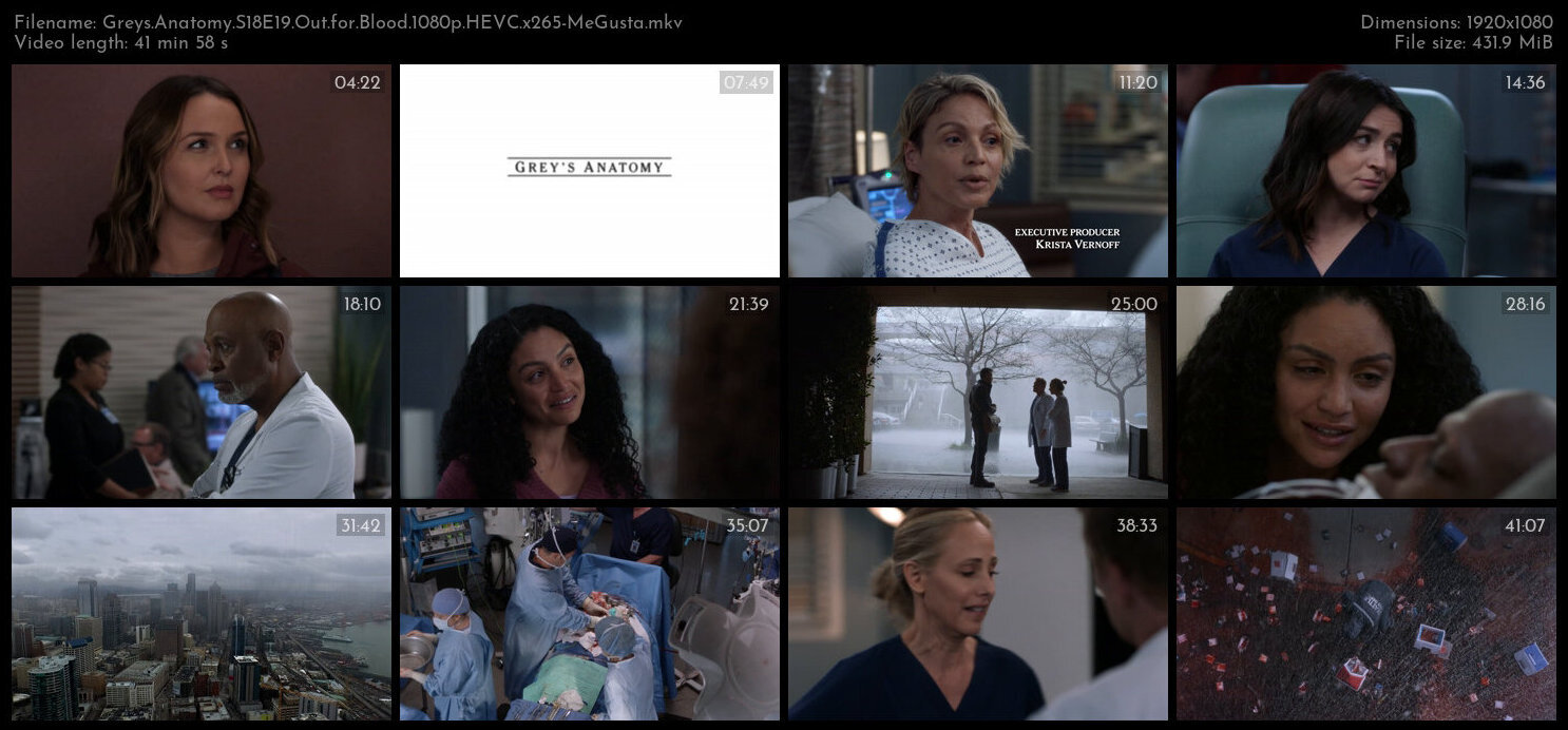 Greys Anatomy S18E19 Out for Blood 1080p HEVC x265 MeGusta TGx