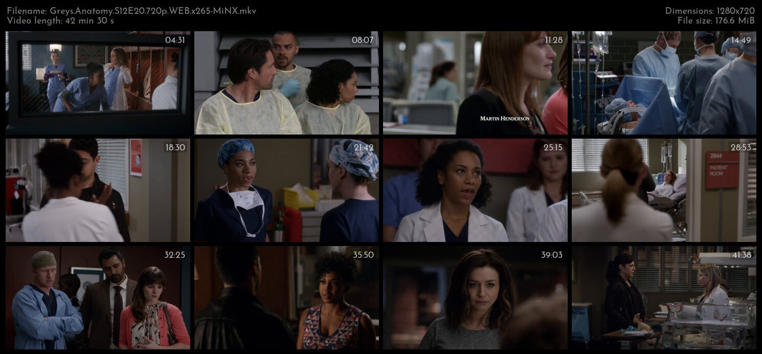 Greys Anatomy S12E20 720p WEB x265 MiNX TGx