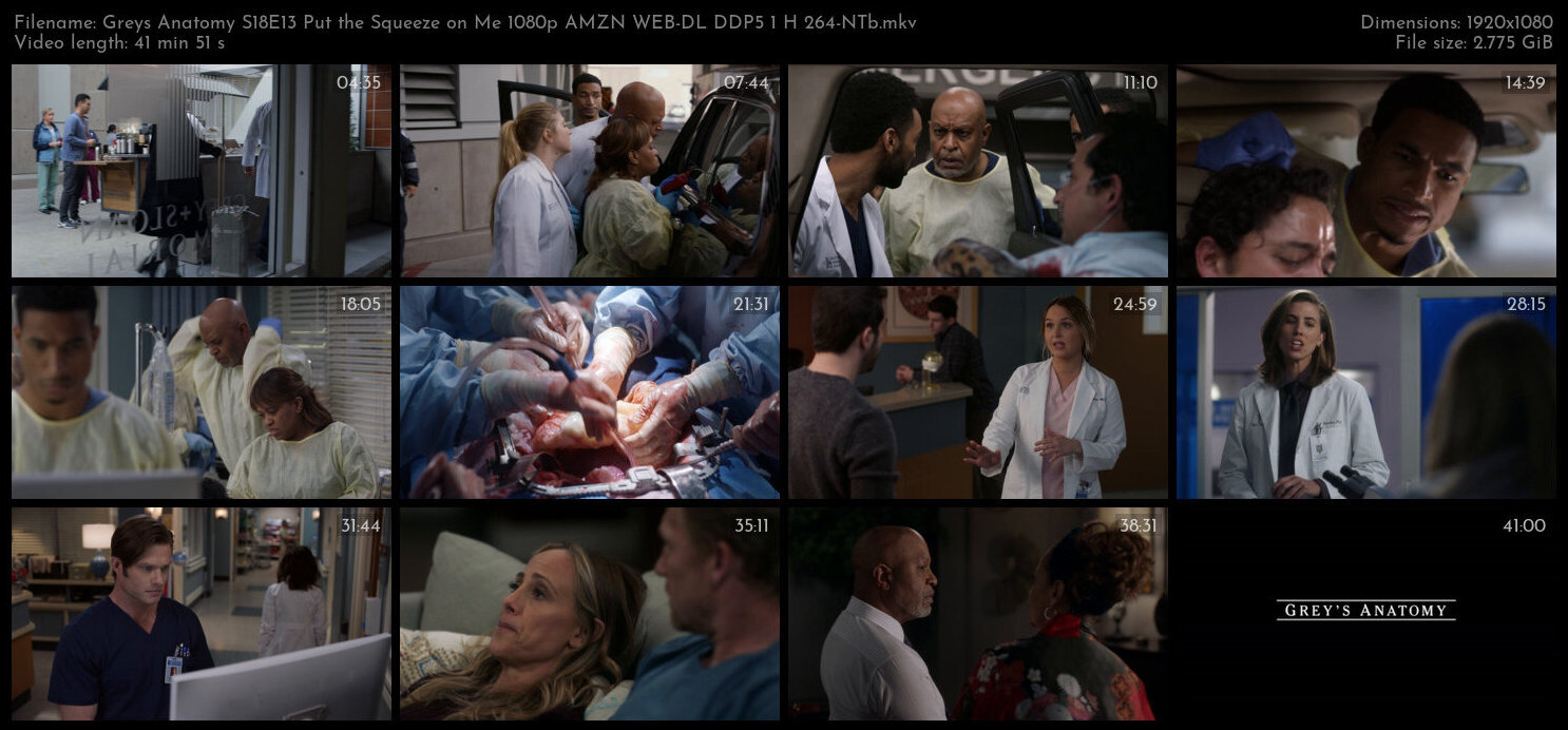 Greys Anatomy S18E13 Put the Squeeze on Me 1080p AMZN WEB DL DDP5 1 H 264 NTb TGx