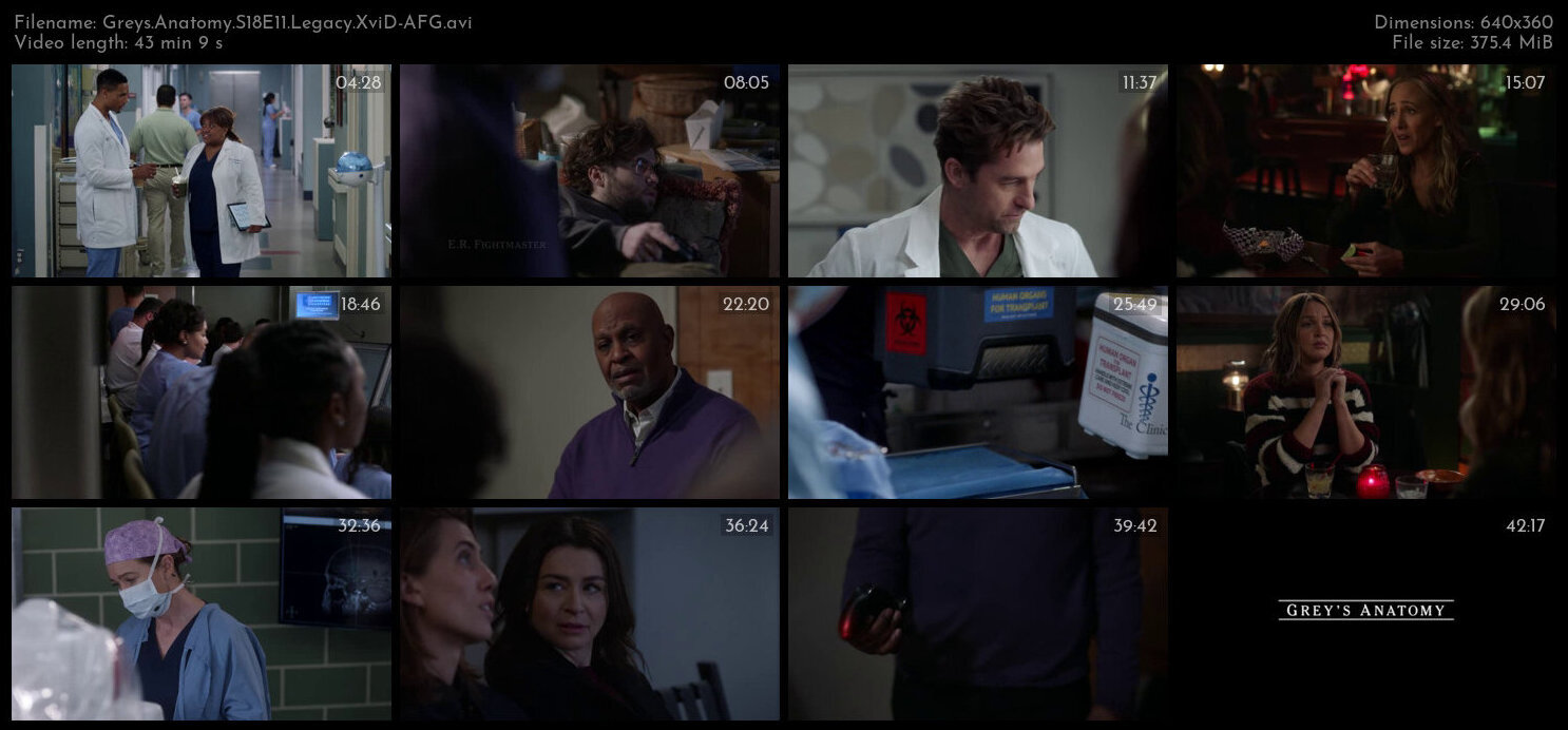 Greys Anatomy S18E11 Legacy XviD AFG TGx