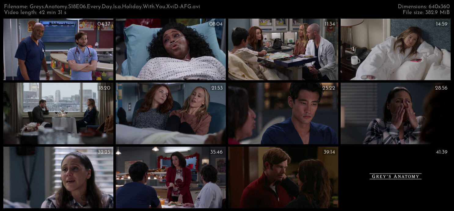 Greys Anatomy S18E06 Every Day Is a Holiday With You XviD AFG TGx