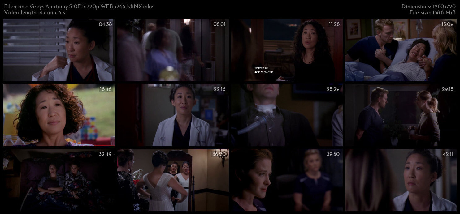 Greys Anatomy S10E17 720p WEB x265 MiNX TGx