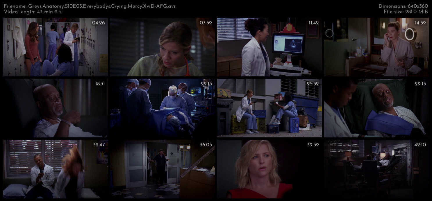 Greys Anatomy S10E03 Everybodys Crying Mercy XviD AFG TGx