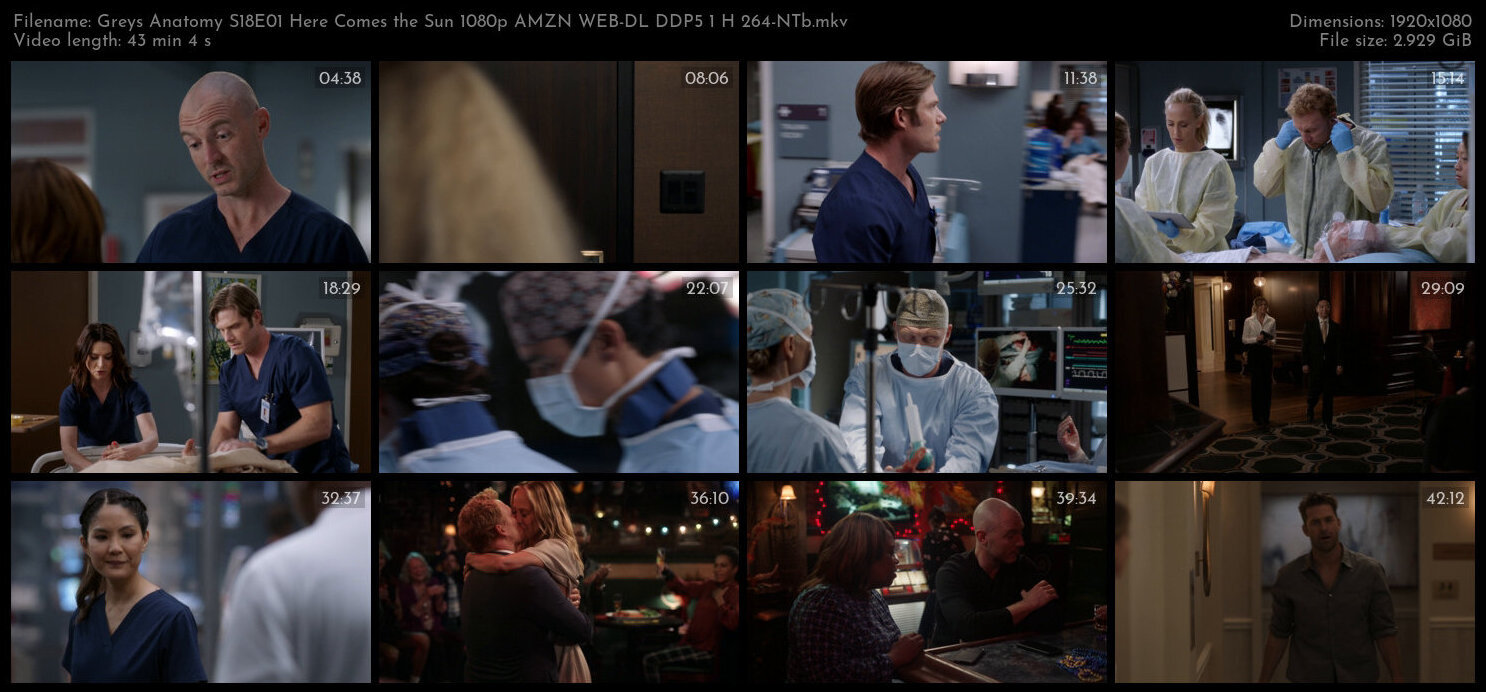 Greys Anatomy S18E01 Here Comes the Sun 1080p AMZN WEB DL DDP5 1 H 264 NTb TGx