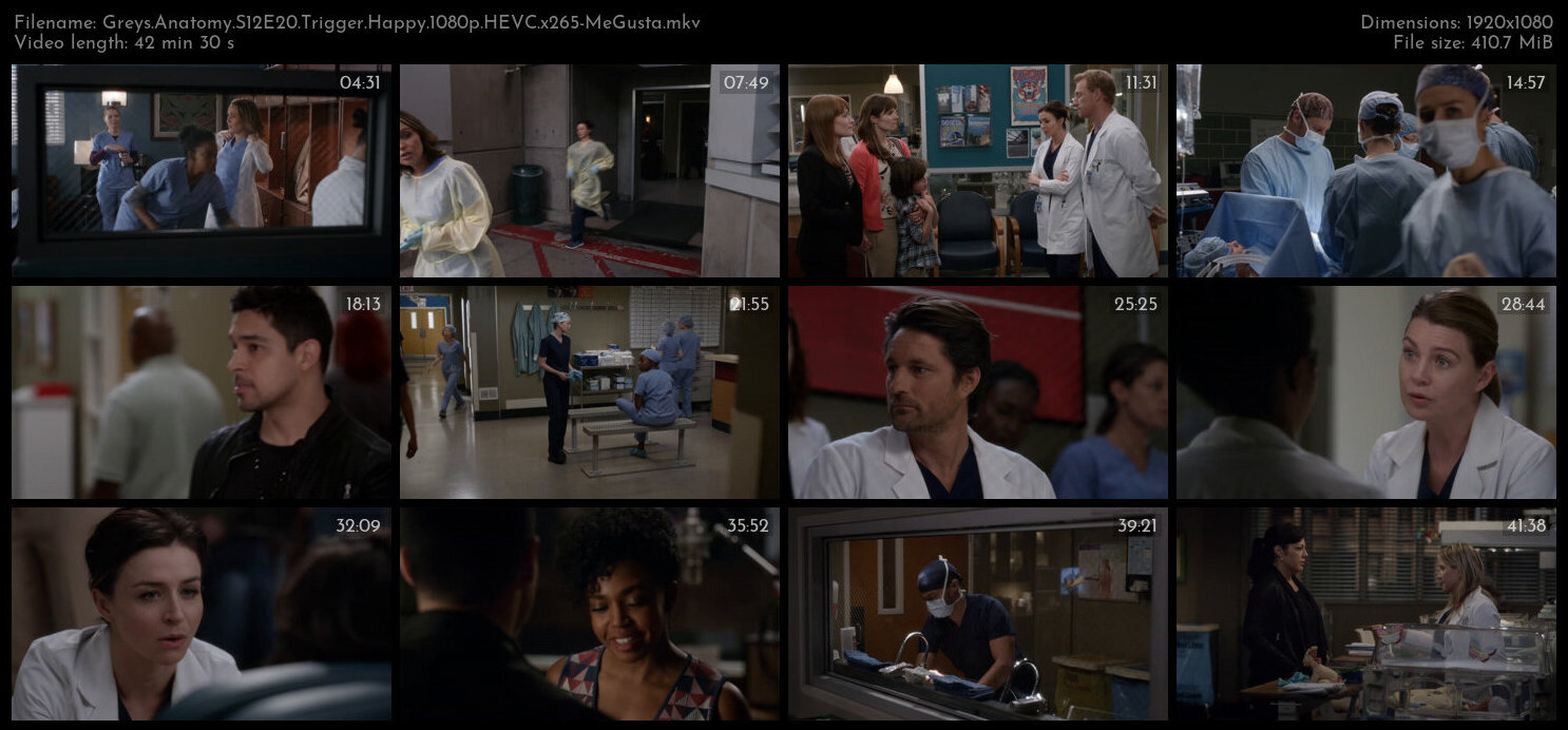 Greys Anatomy S12E20 Trigger Happy 1080p HEVC x265 MeGusta TGx