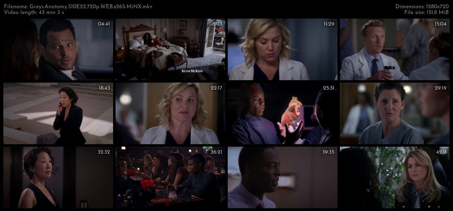 Greys Anatomy S10E22 720p WEB x265 MiNX TGx