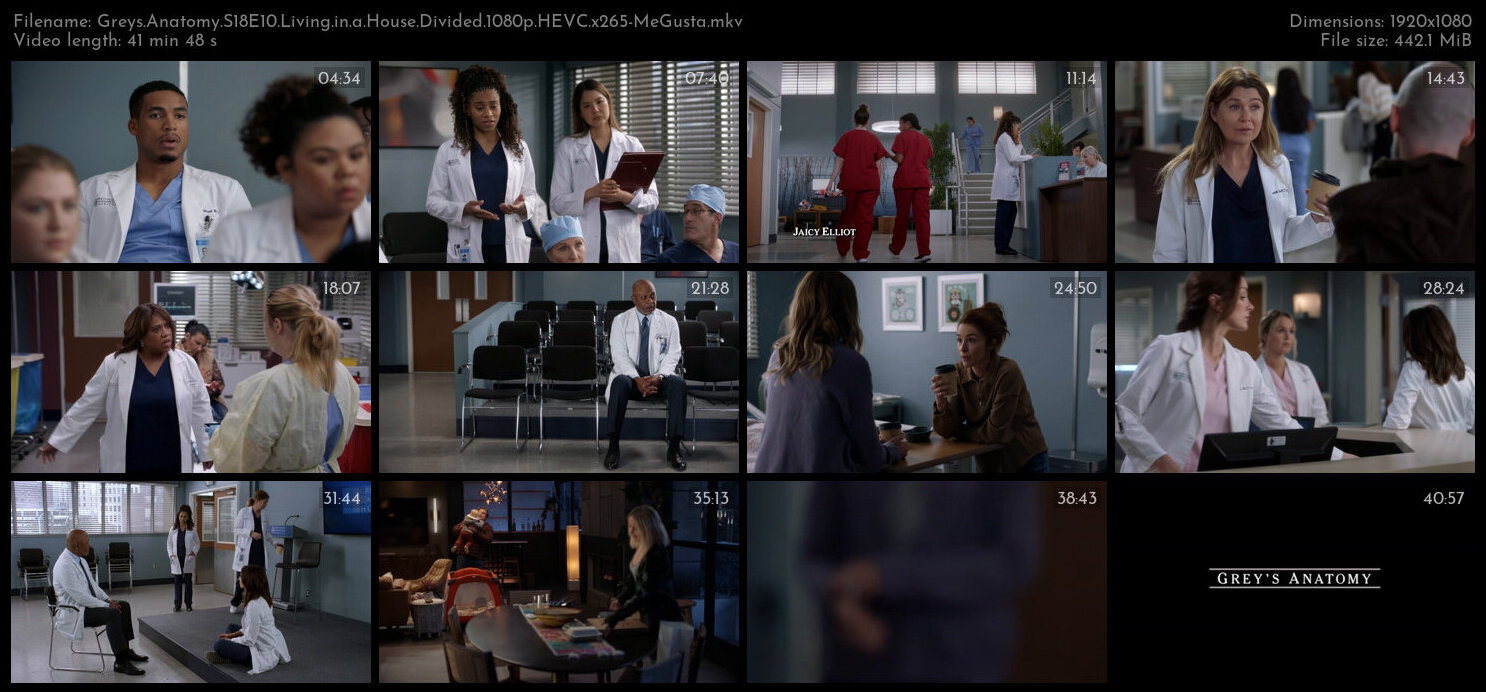 Greys Anatomy S18E10 Living in a House Divided 1080p HEVC x265 MeGusta TGx