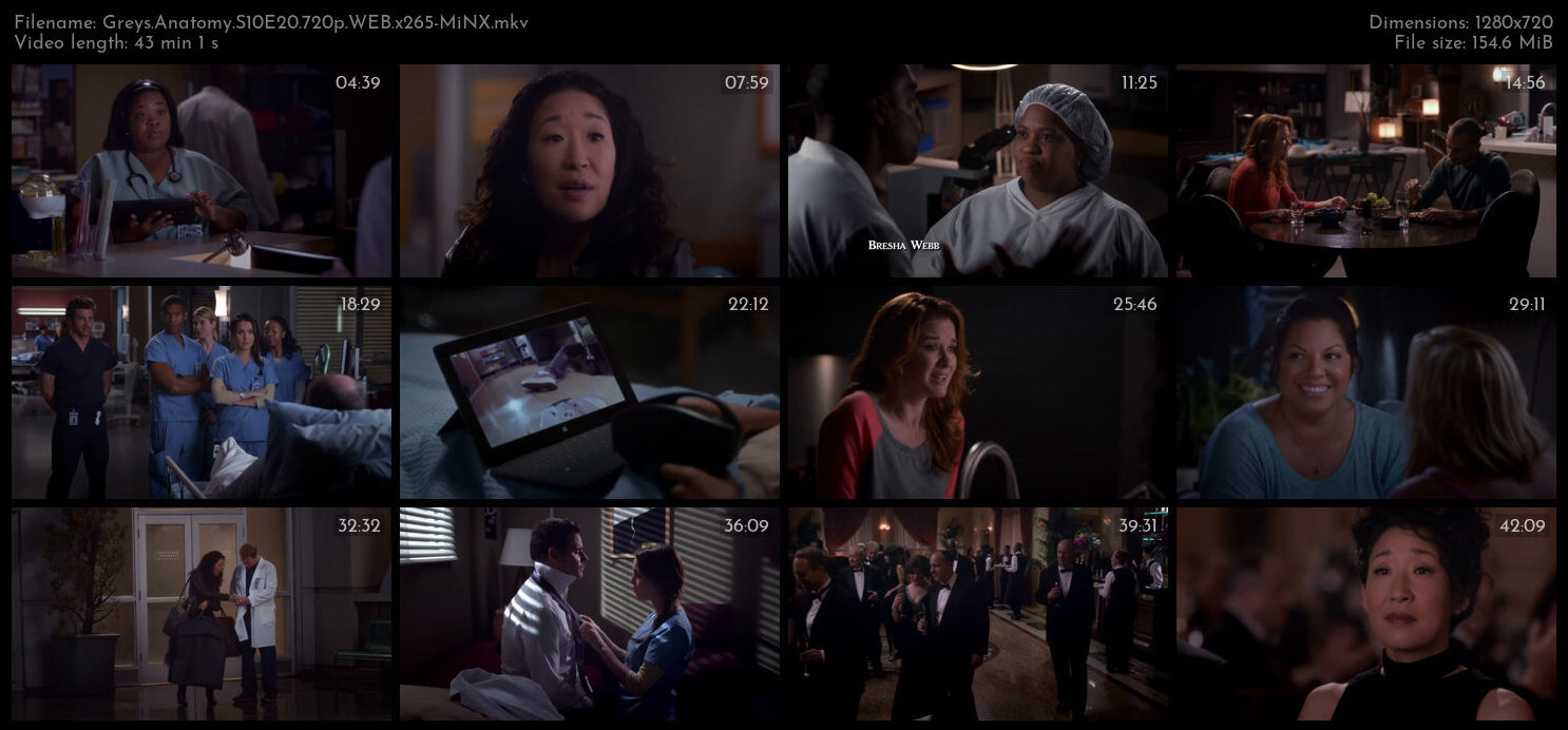 Greys Anatomy S10E20 720p WEB x265 MiNX TGx