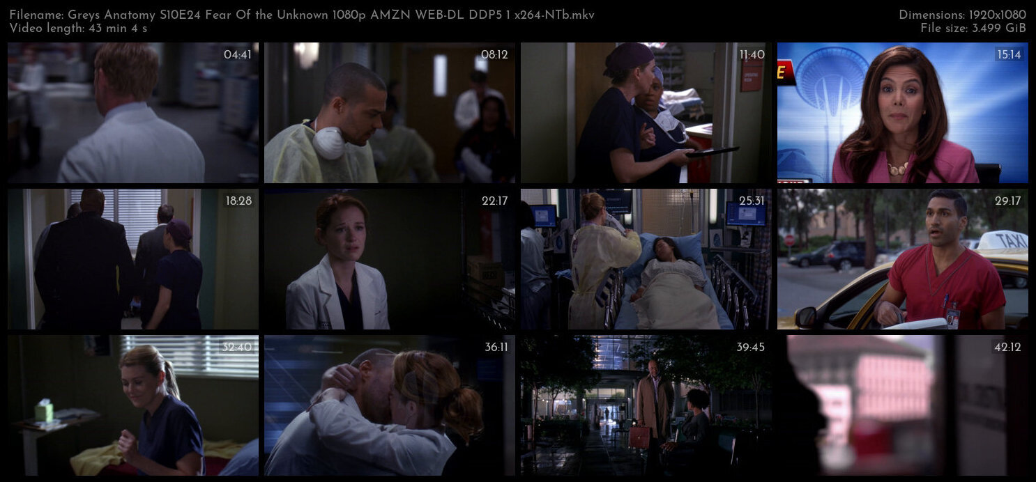 Greys Anatomy S10E24 Fear Of the Unknown 1080p AMZN WEB DL DDP5 1 x264 NTb TGx