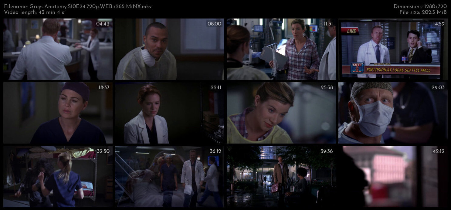 Greys Anatomy S10E24 720p WEB x265 MiNX TGx