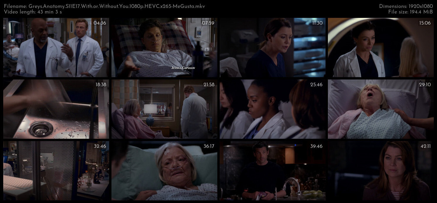 Greys Anatomy S11E17 With or Without You 1080p HEVC x265 MeGusta TGx