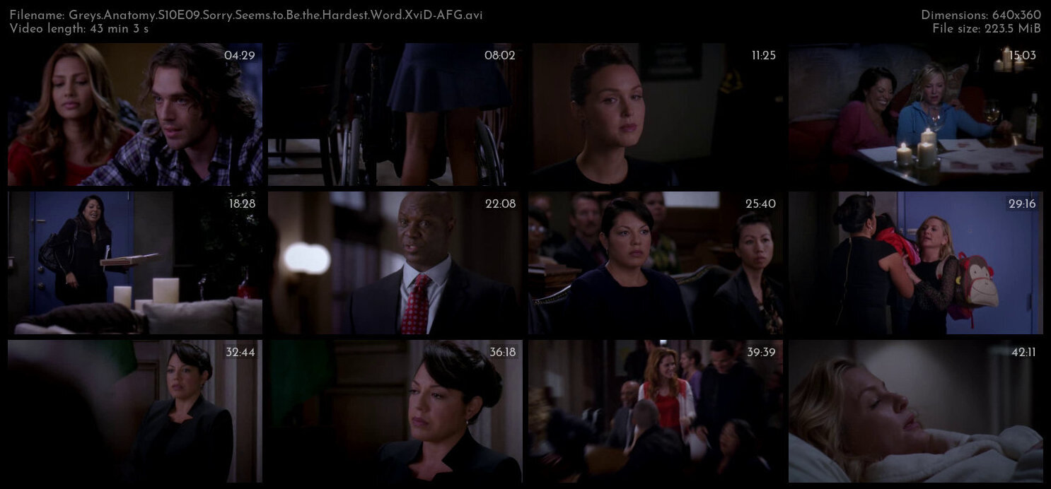 Greys Anatomy S10E09 Sorry Seems to Be the Hardest Word XviD AFG TGx