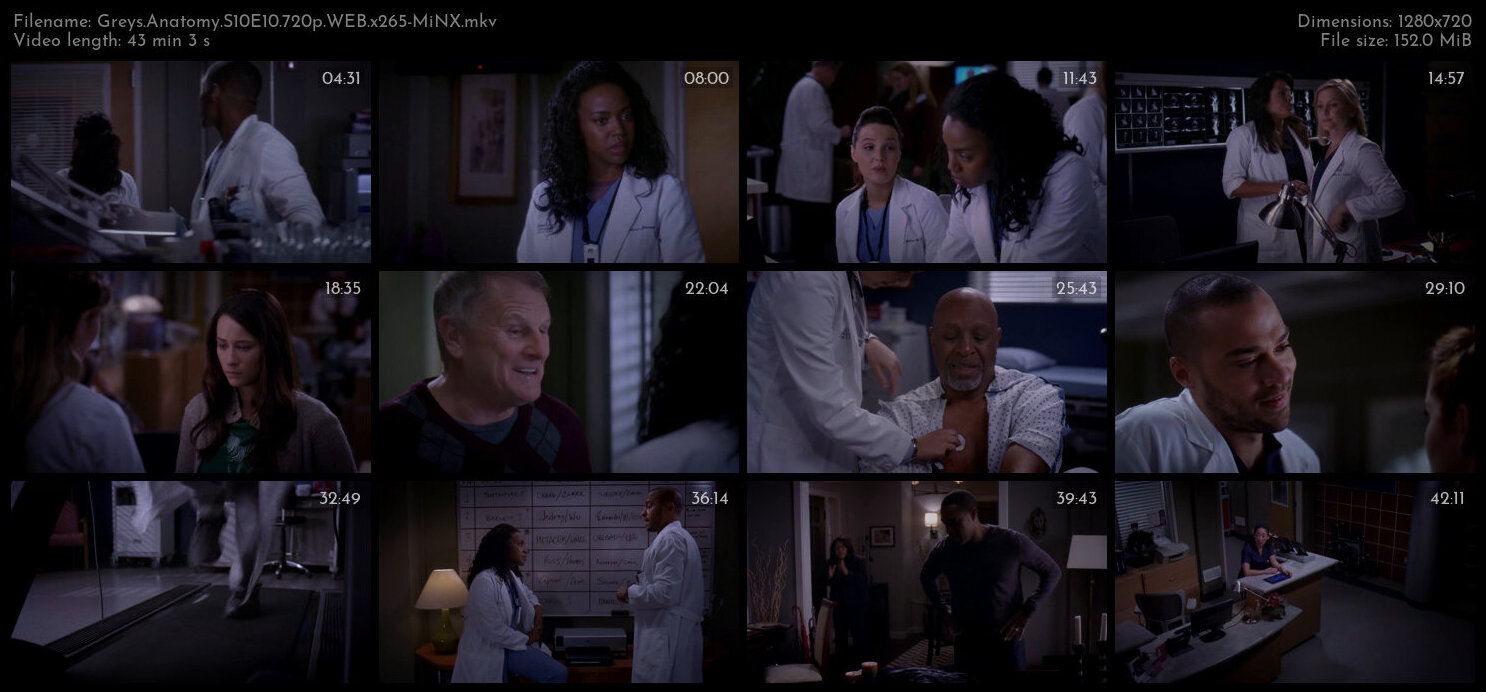 Greys Anatomy S10E10 720p WEB x265 MiNX TGx