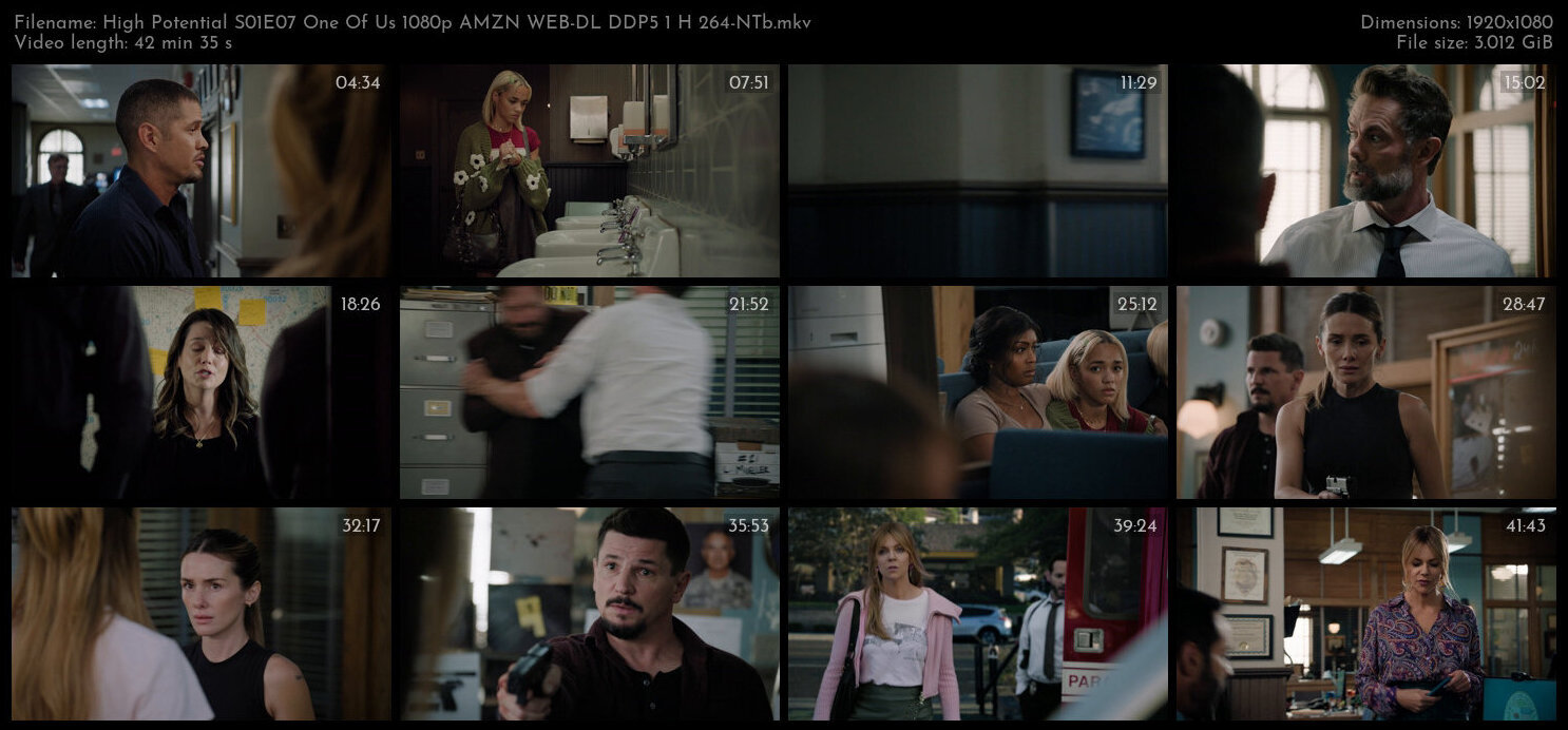 High Potential S01E07 One Of Us 1080p AMZN WEB DL DDP5 1 H 264 NTb TGx