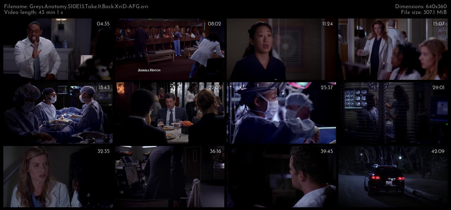 Greys Anatomy S10E13 Take It Back XviD AFG TGx