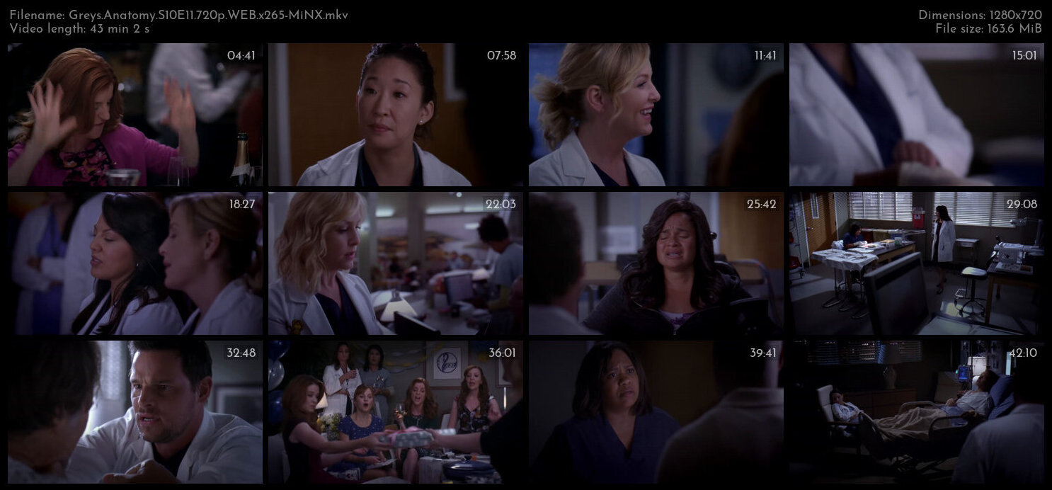 Greys Anatomy S10E11 720p WEB x265 MiNX TGx