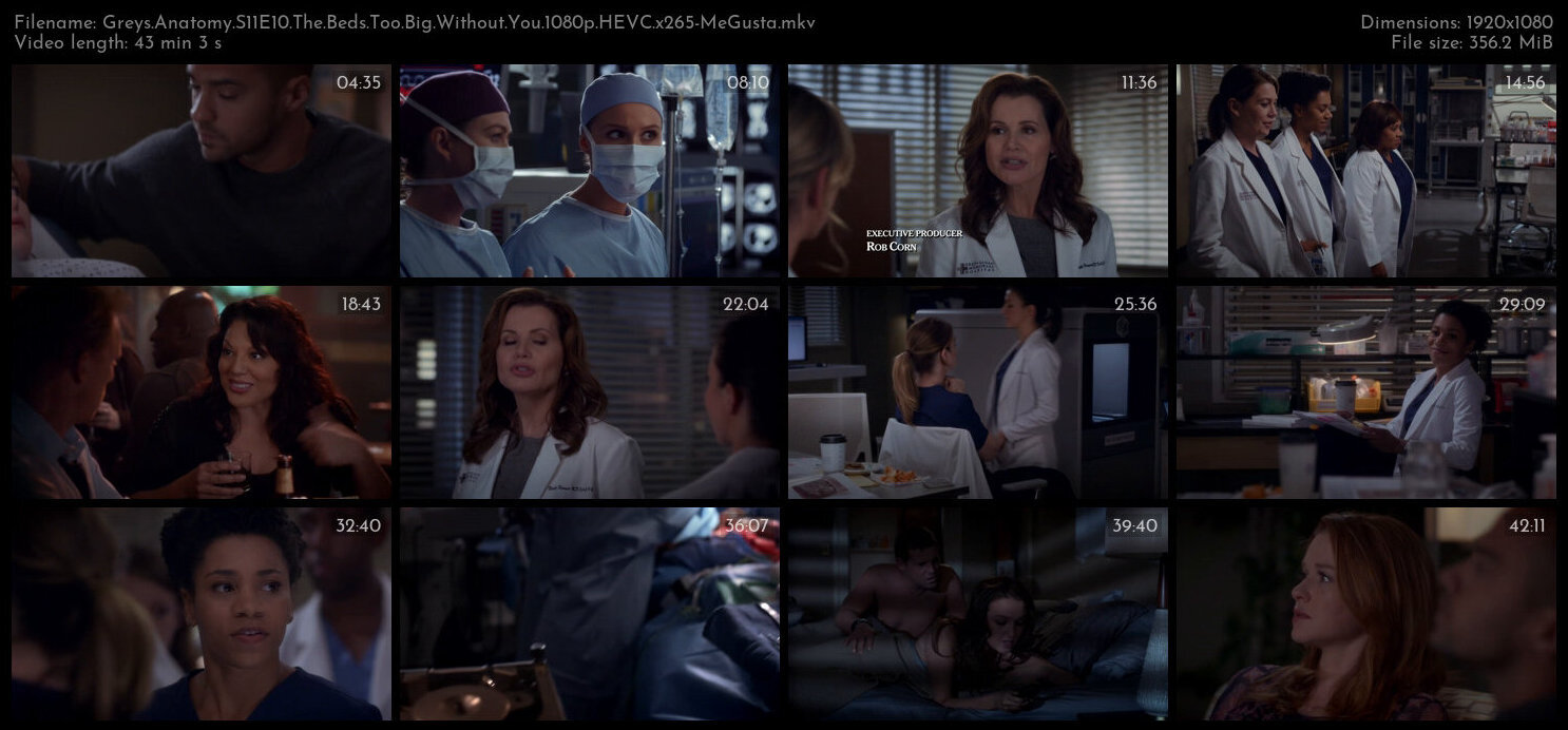 Greys Anatomy S11E10 The Beds Too Big Without You 1080p HEVC x265 MeGusta TGx