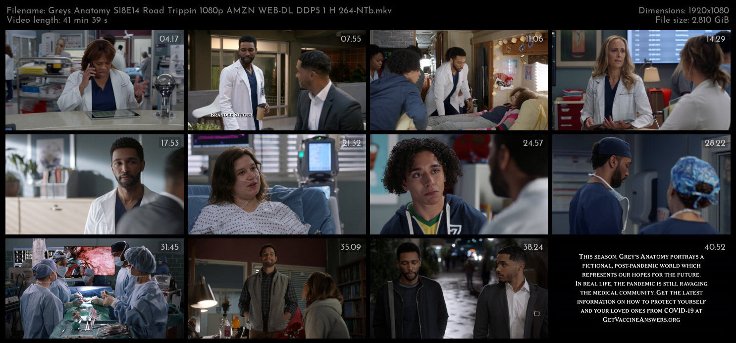 Greys Anatomy S18E14 Road Trippin 1080p AMZN WEB DL DDP5 1 H 264 NTb TGx