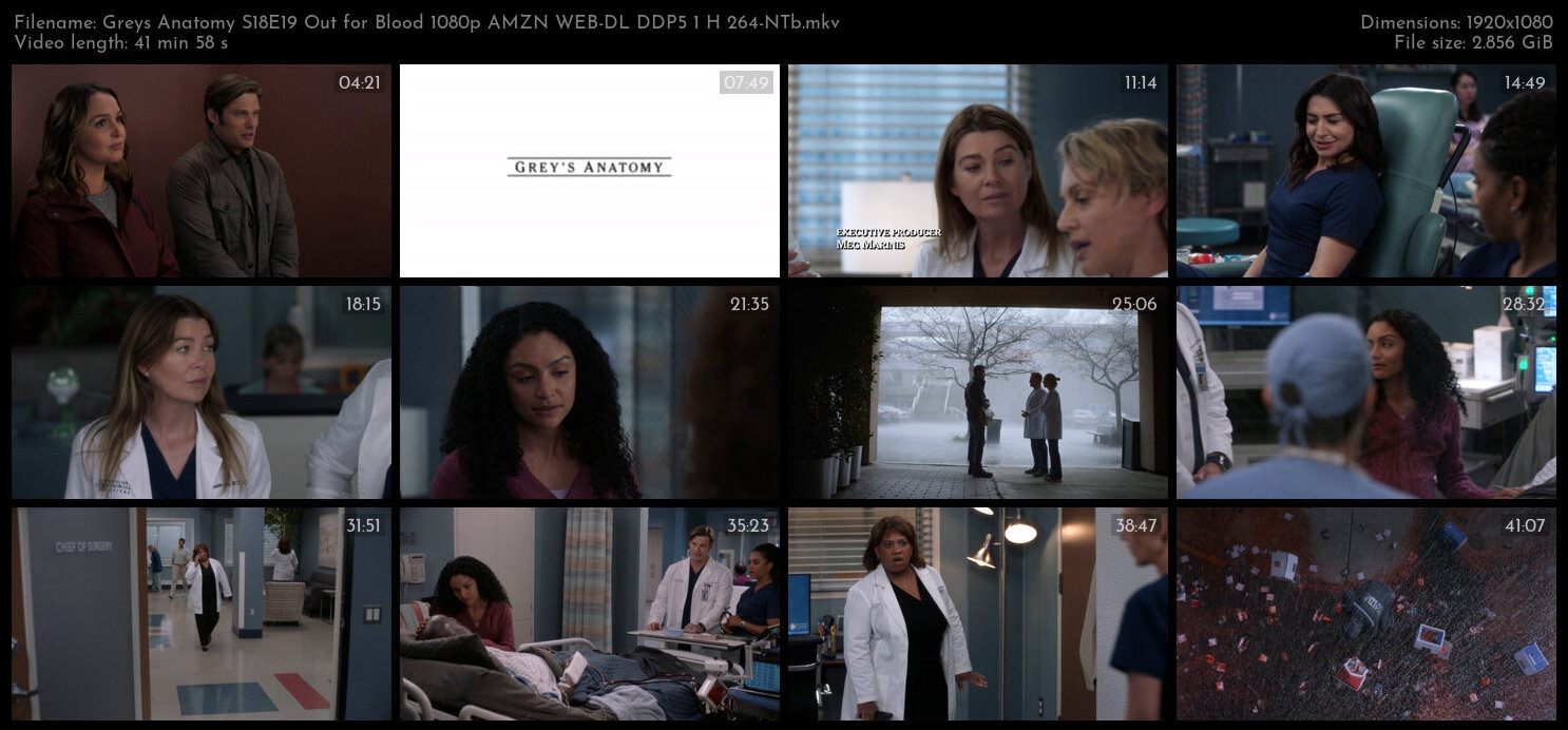 Greys Anatomy S18E19 Out for Blood 1080p AMZN WEB DL DDP5 1 H 264 NTb TGx